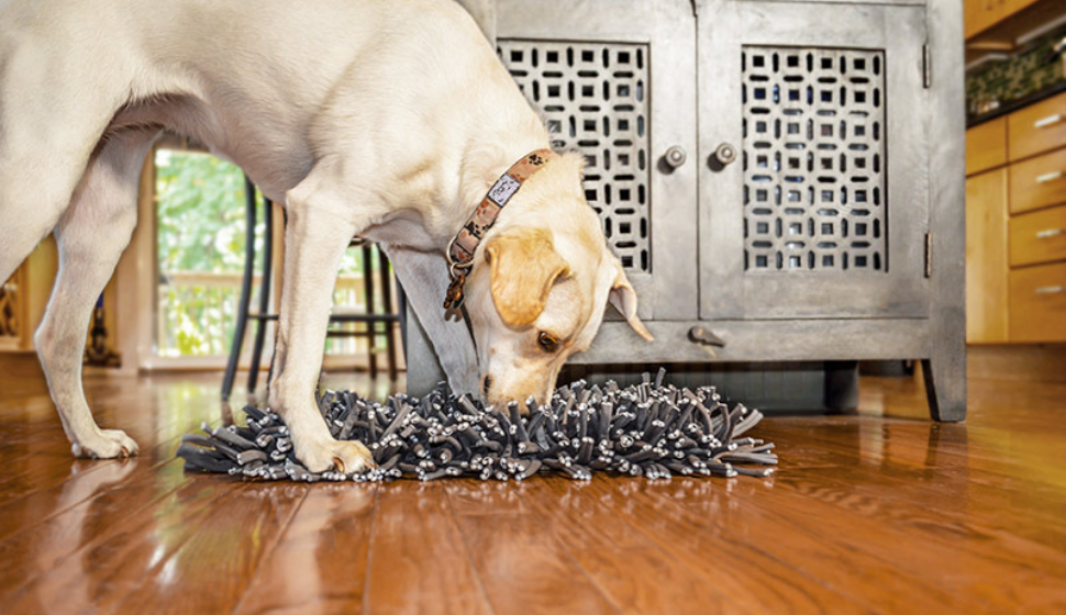 How to make a snuffle mat for your dog