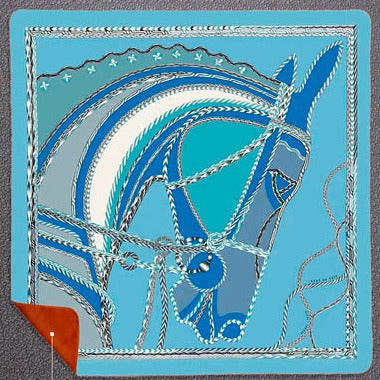 Square Velvet Throws