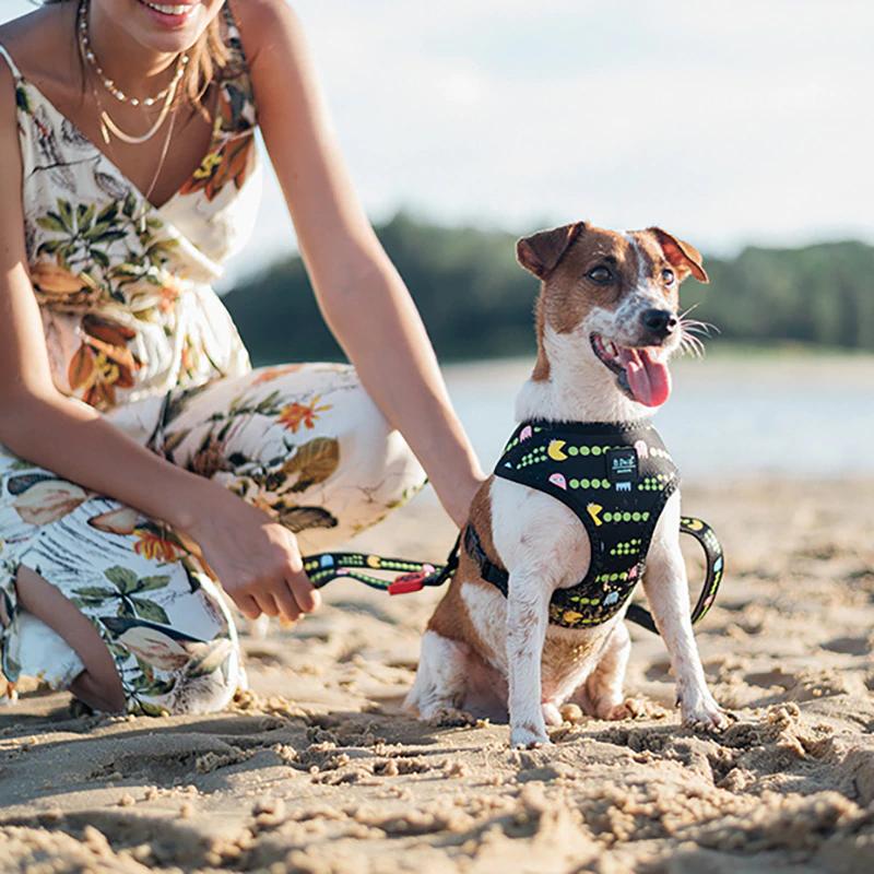 Bari Pac-Man Harness - Dogs and Horses