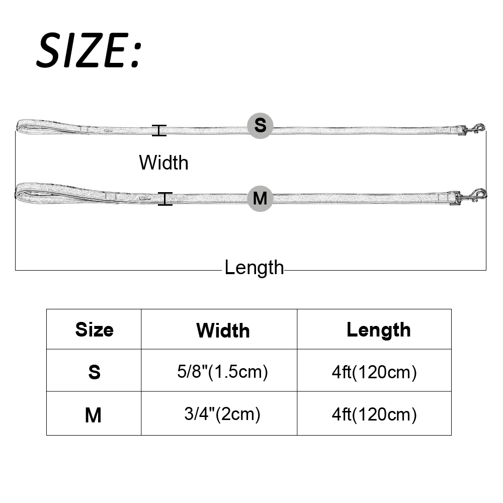 Roma Custom Leather Collar and Leash - Dogs and Horses