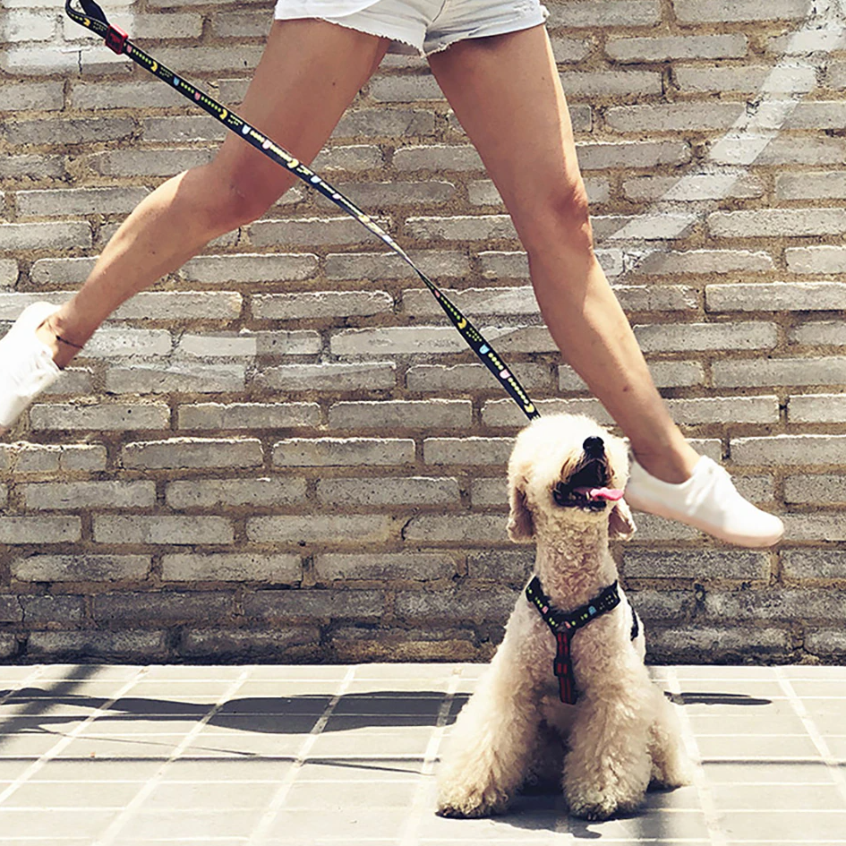 Bari Pac-Man Chest Collar - Dogs and Horses