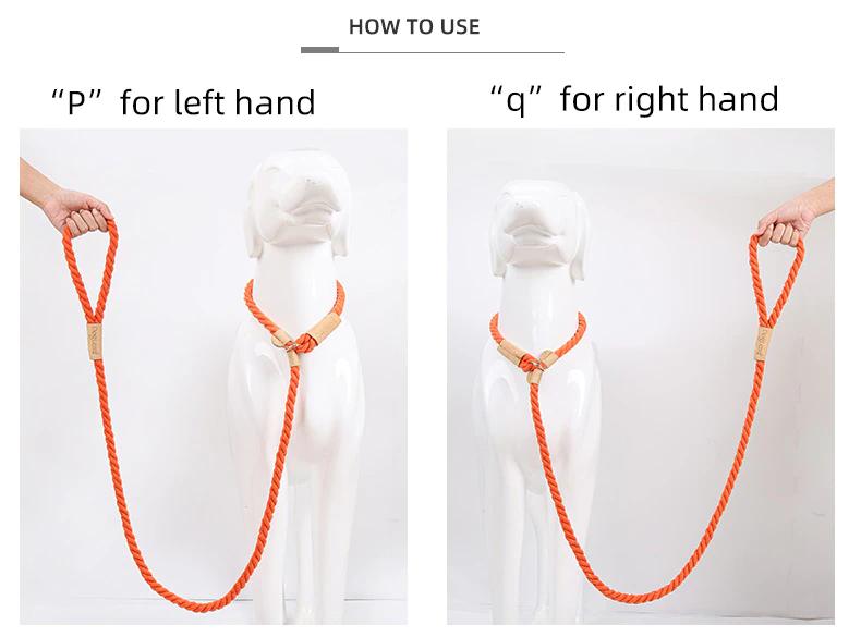 Yellow Rope Slip Leash & Collar - Dogs and Horses