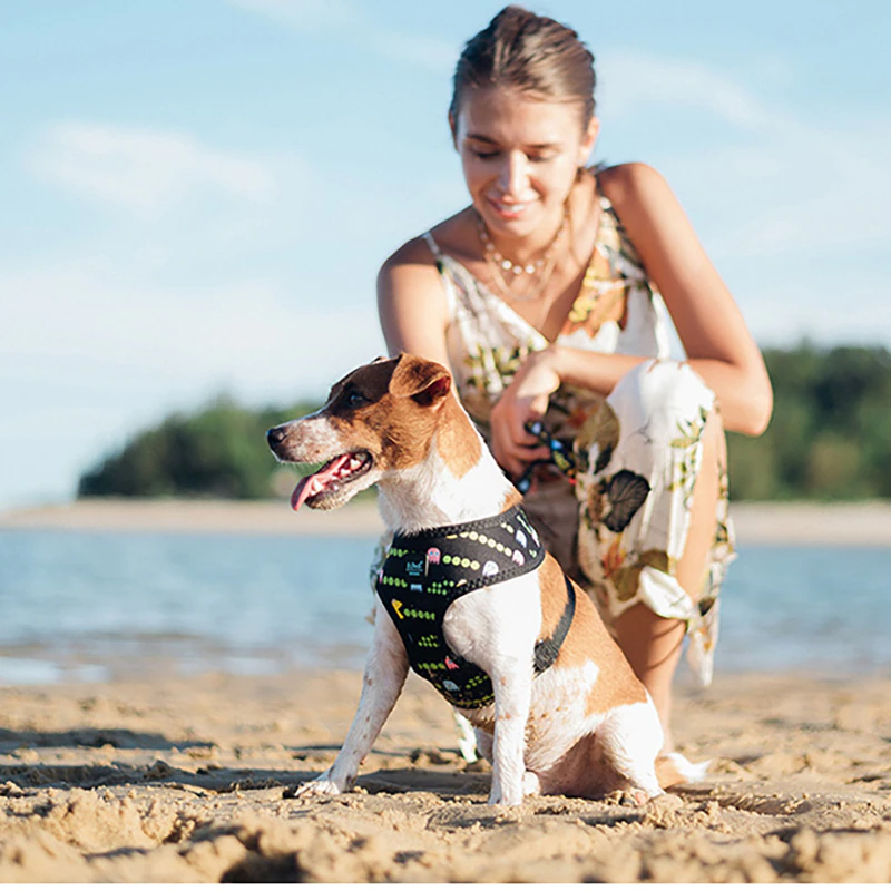 Bari Lightning Harness - Dogs and Horses