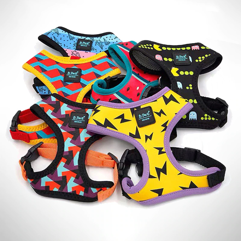 Bari Lightning Harness - Dogs and Horses