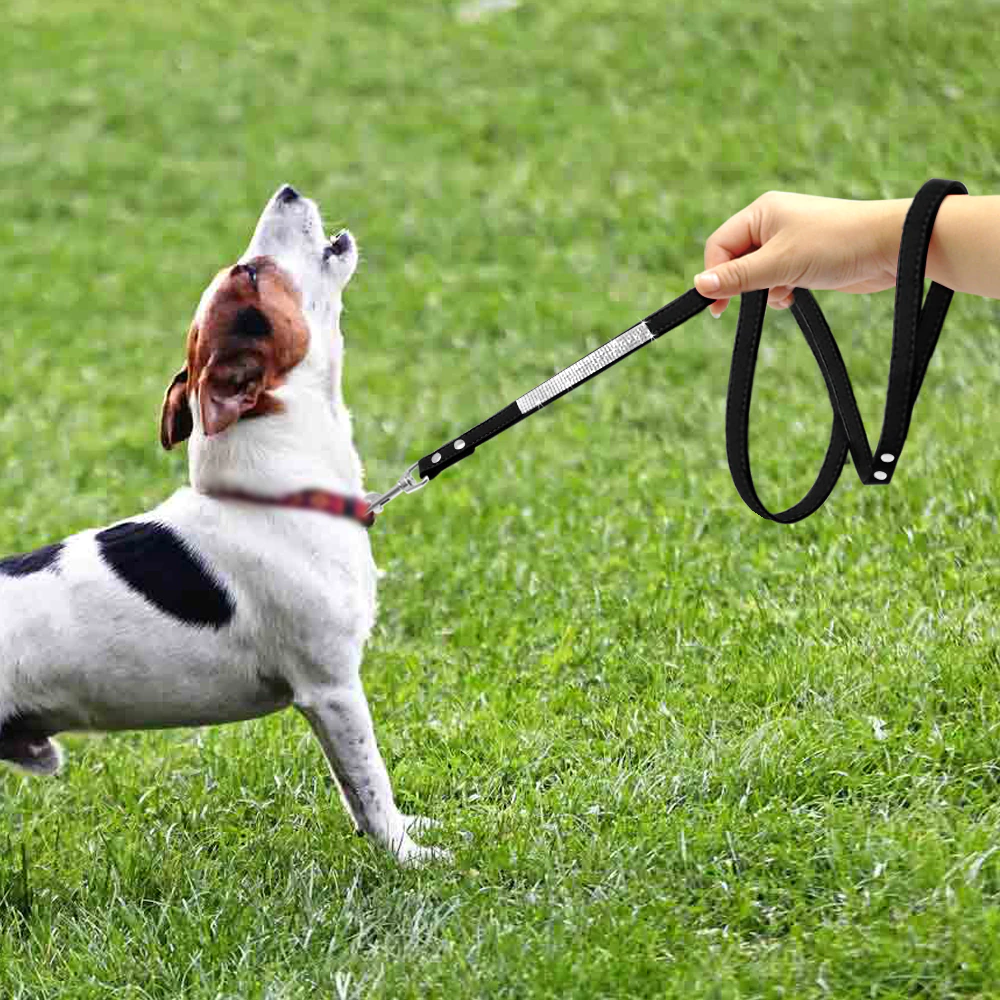 Bling Blue Suede Leash - Dogs and Horses