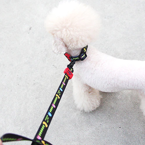 Bari Pac-Man Leash - Dogs and Horses