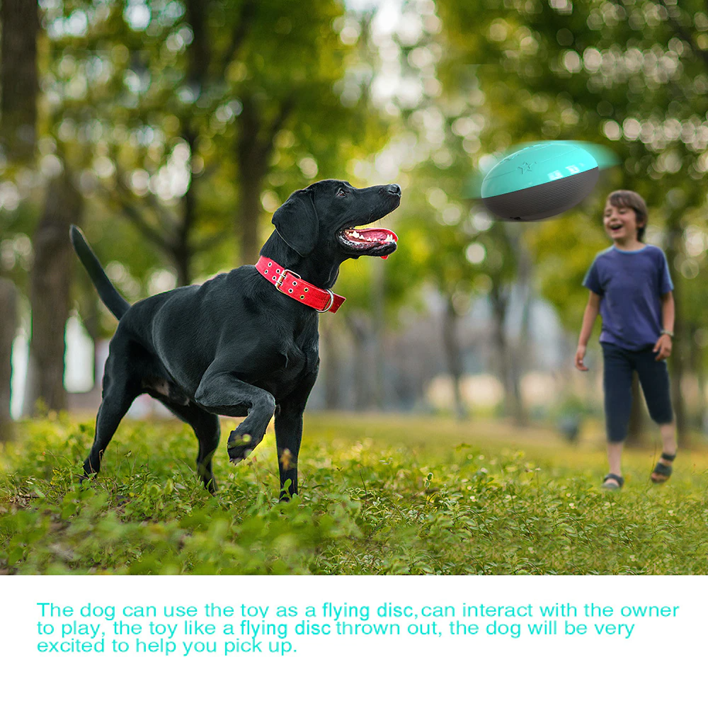 Interactive Funny Leaking Food Ball - Dogs and Horses