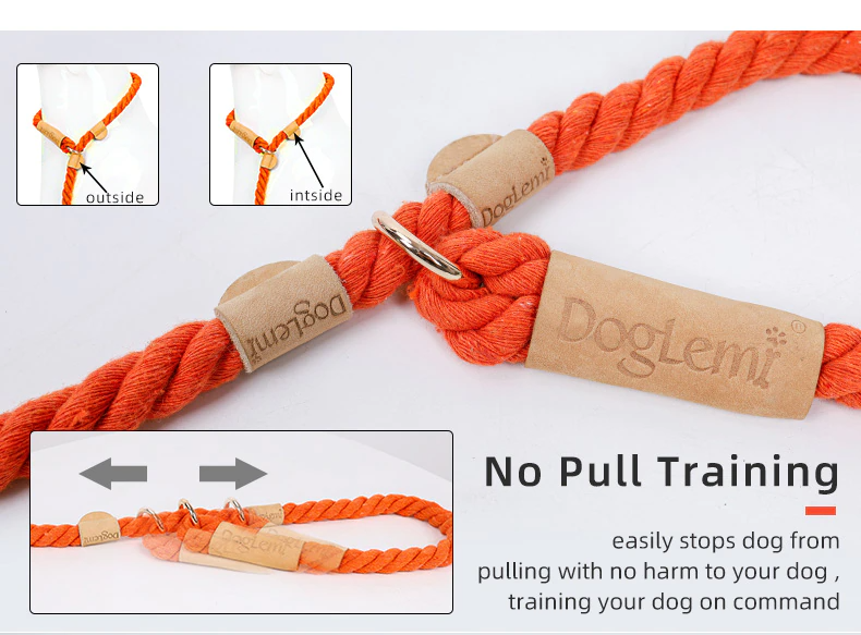 Blue Rope Slip Leash & Collar - Dogs and Horses