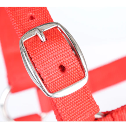 Anti-friction Halter / Headcollar (3 colors) - Dogs and Horses