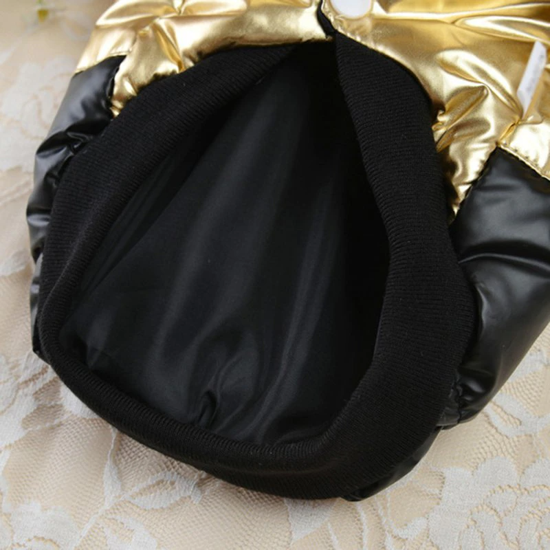 Royal Dog Jacket (Gold / Silver) - Dogs and Horses