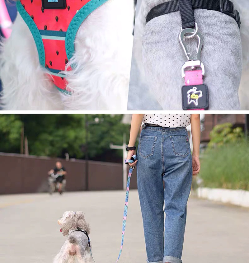 Bari Lightning Harness - Dogs and Horses