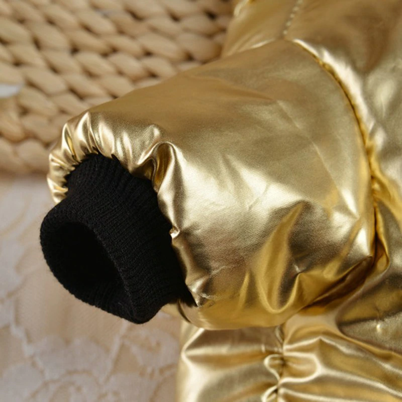 Royal Dog Jacket (Gold / Silver) - Dogs and Horses