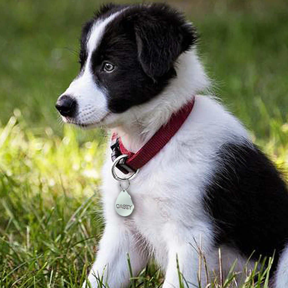 Personalized Engraved ID Tags - Dogs and Horses