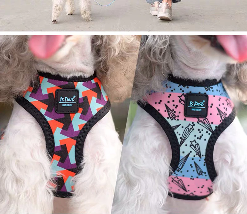 Bari Lightning Harness - Dogs and Horses