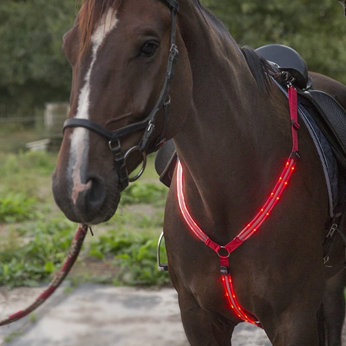 Horse Harness Breastplate Collar LED Lights - Dogs and Horses