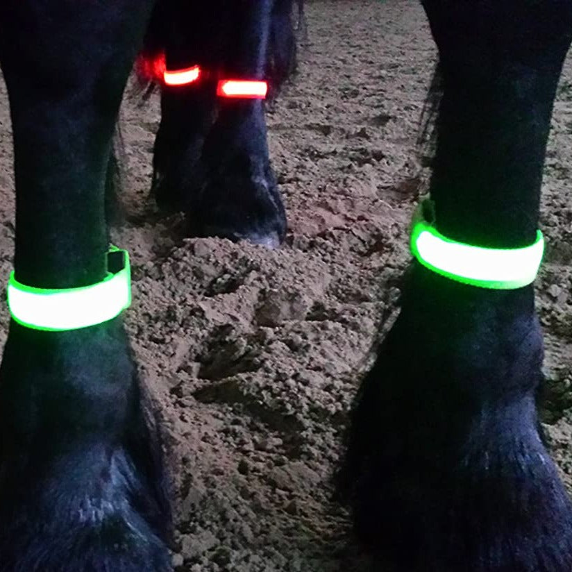 Horse Leg Straps LED Lights - Dogs and Horses