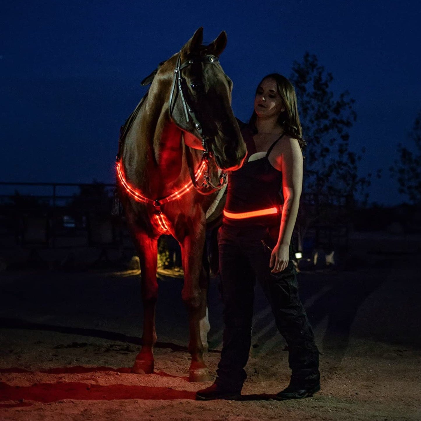 Horse Harness Breastplate Collar LED Lights - Dogs and Horses