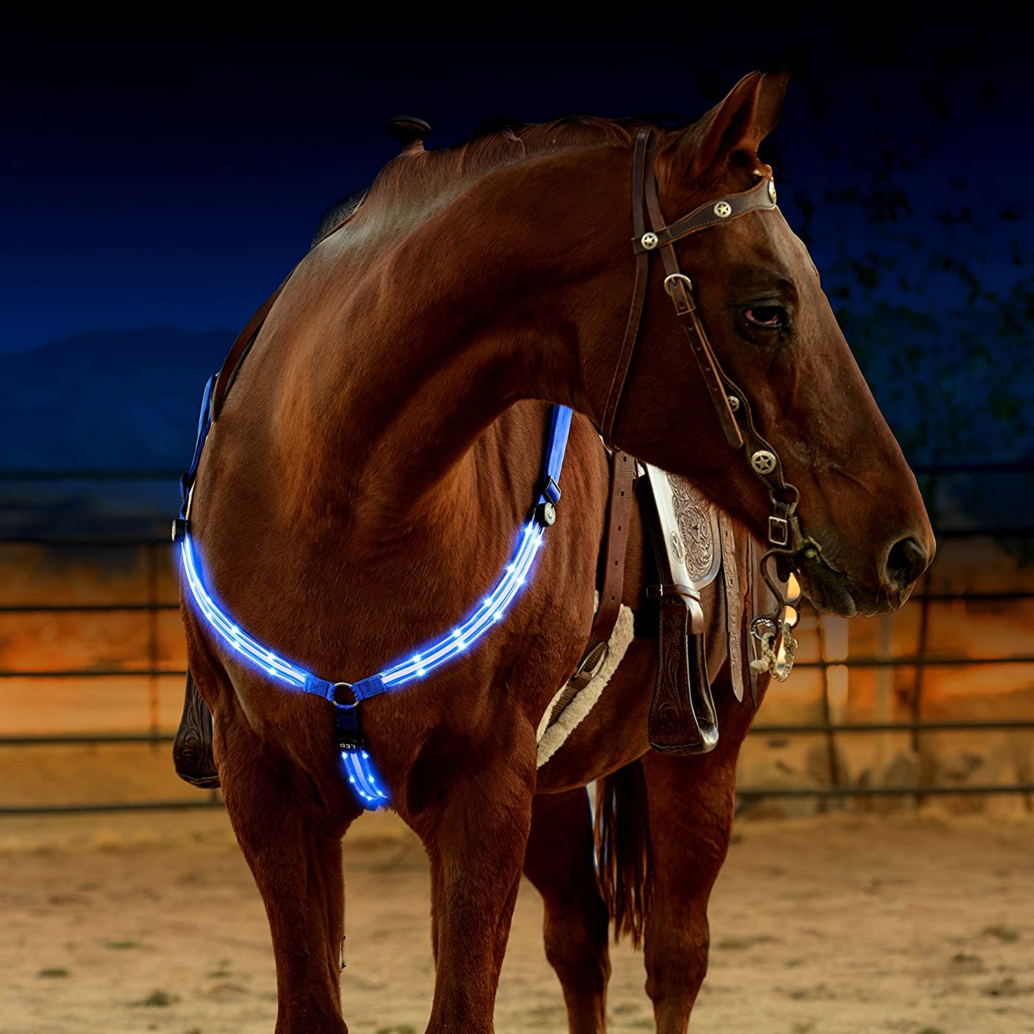 Horse Harness Breastplate Collar LED Lights - Dogs and Horses