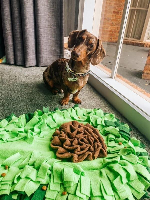 Avocado Snuffle & Feeding Mat - Dogs and Horses