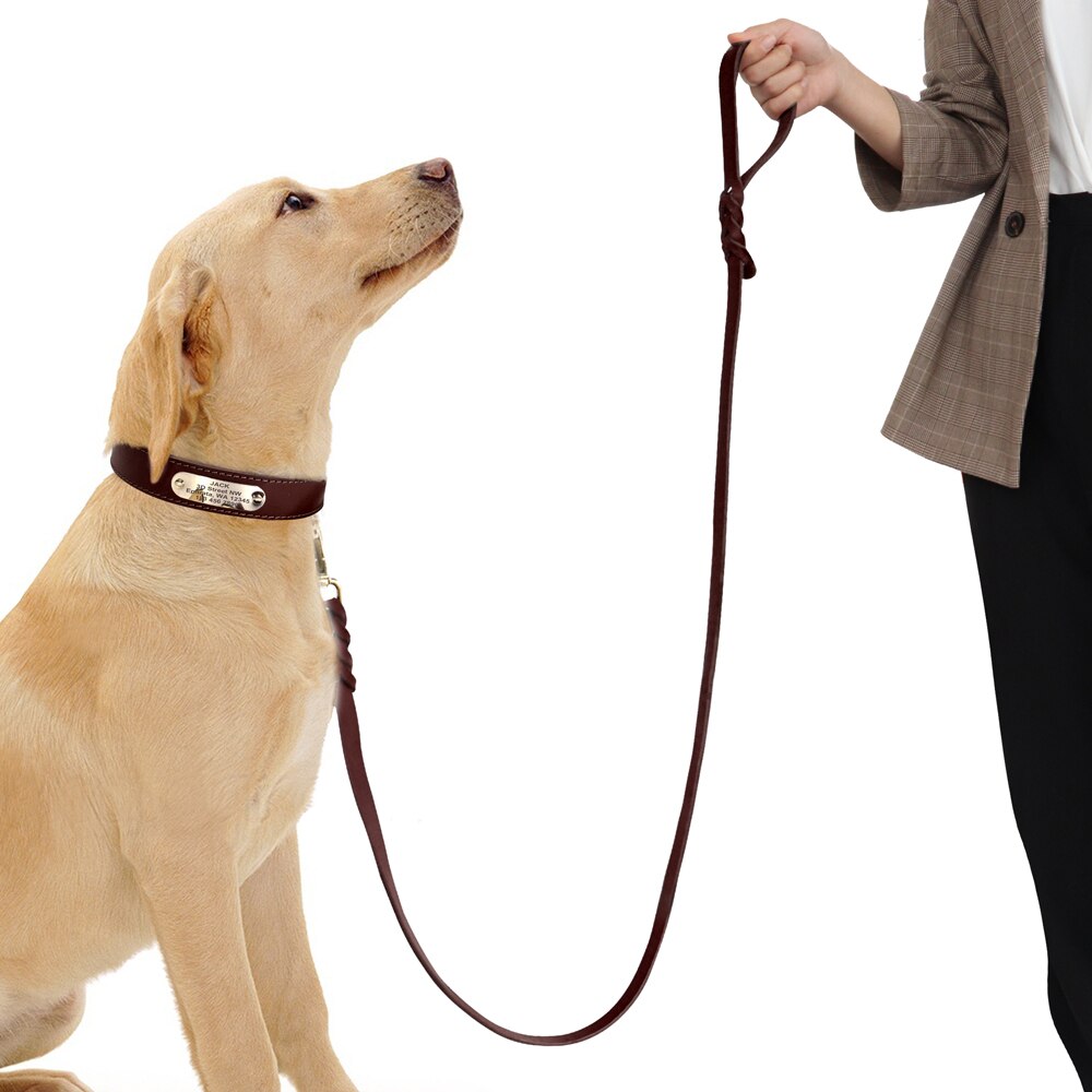 Bergamo Brown Leather Collar & Leash Set - Dogs and Horses