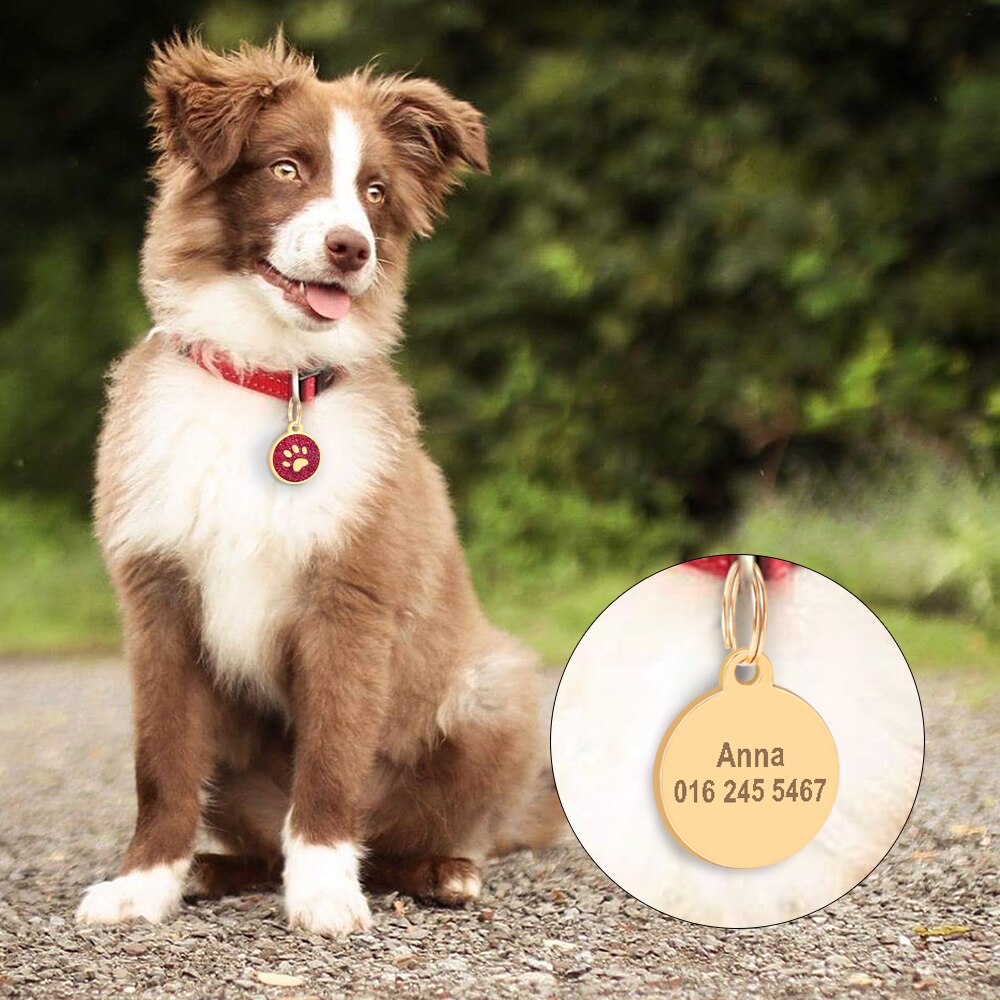 Gold Paw Personalized ID Tags - Dogs and Horses