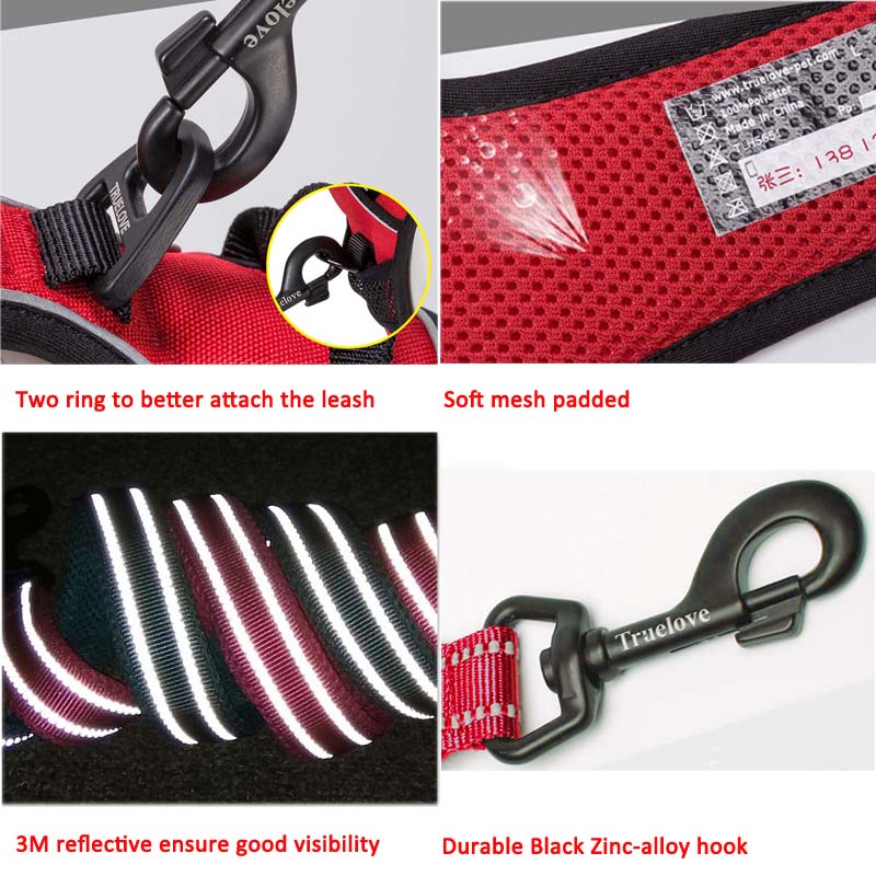Collodi Red Harness & Leash Set - Dogs and Horses