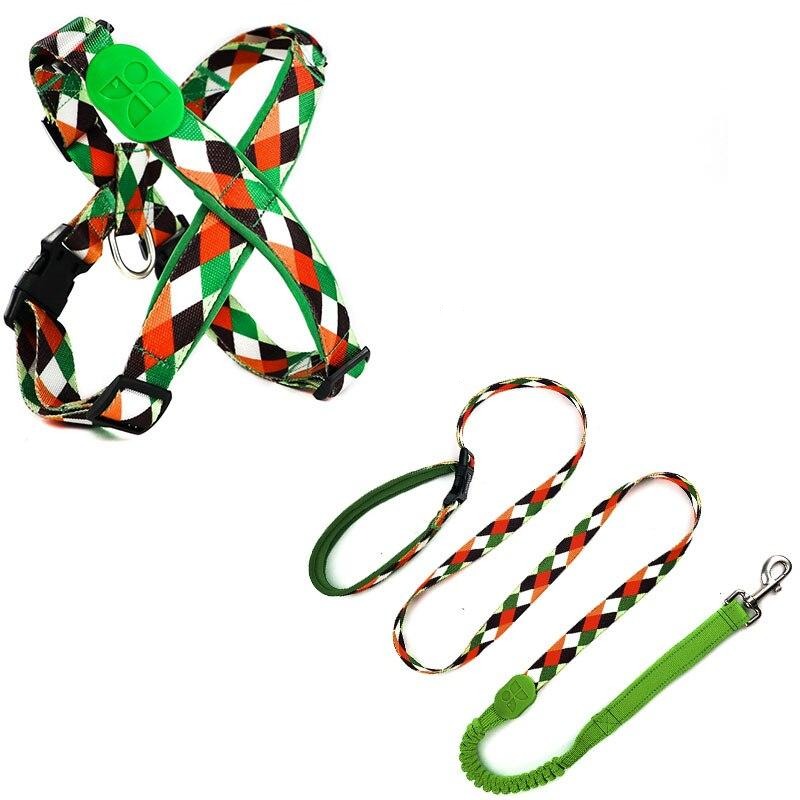 Capri Pop Harness & Leash Set - Dogs and Horses