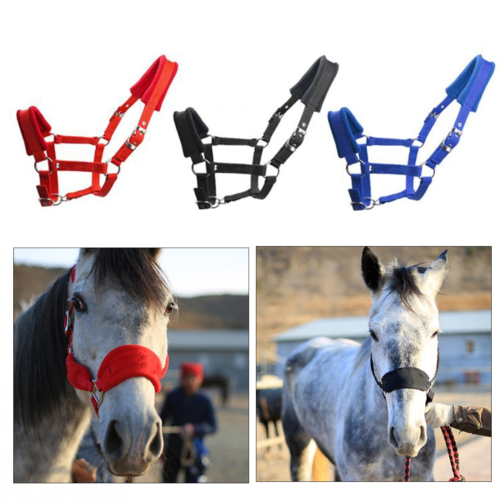 Red Padded Halter / Headcollar - Dogs and Horses