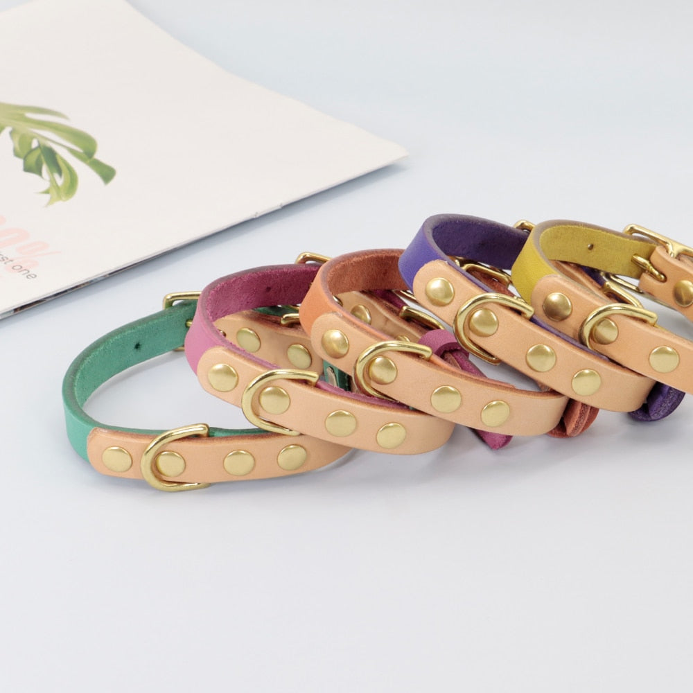 Siena Purple Collar & Custom Engraved Tag - Dogs and Horses