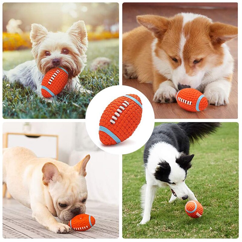 Chew Football - Dogs and Horses
