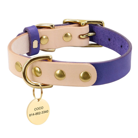 Siena Purple Collar & Custom Engraved Tag - Dogs and Horses