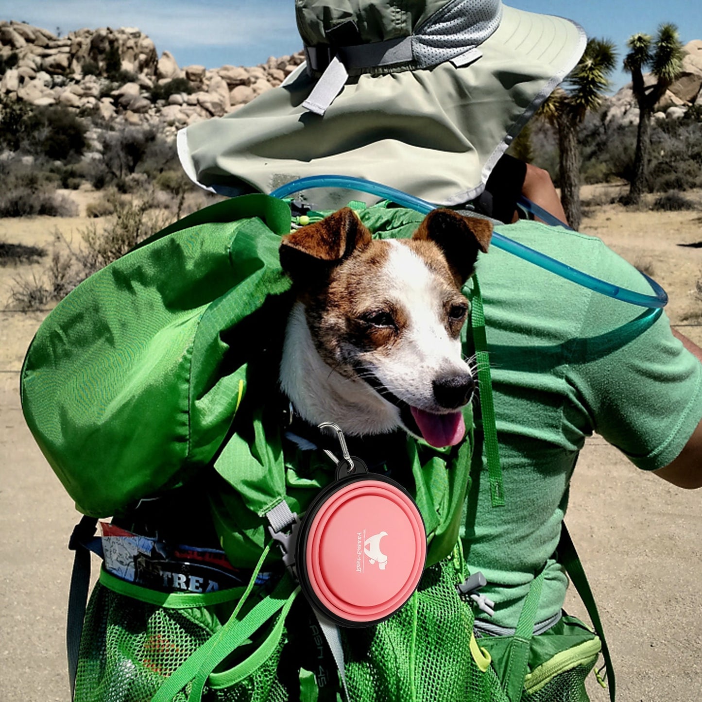 Collapsible Portable Bowl - Dogs and Horses