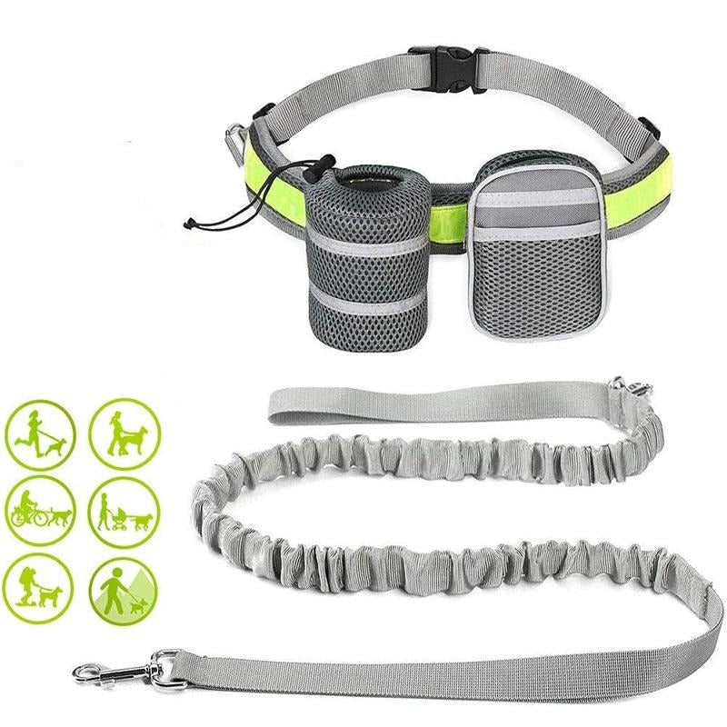 Gray Hands-Free Leash & Running Belt - Dogs and Horses