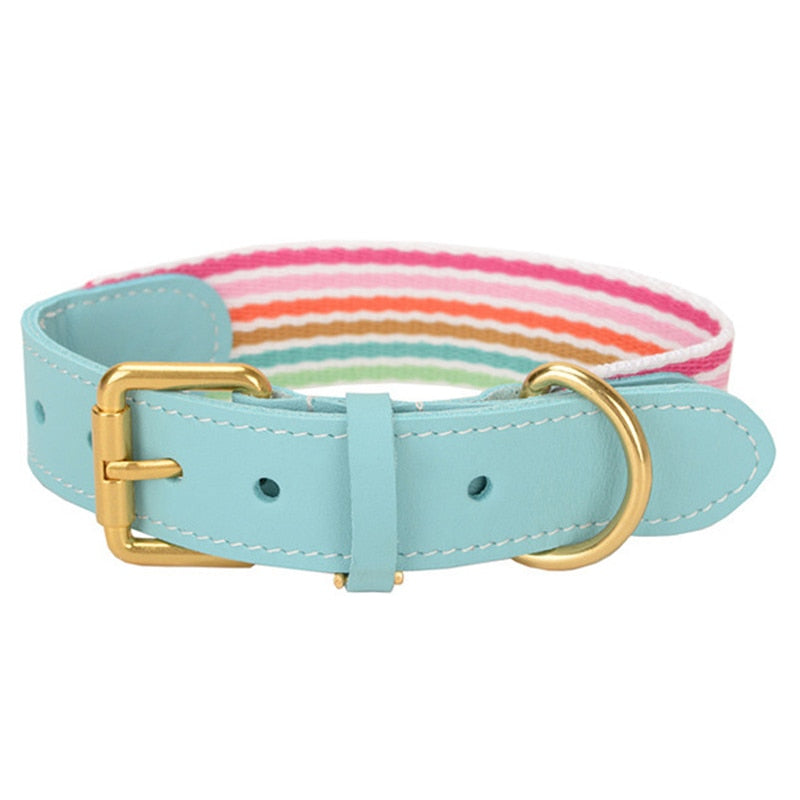 Oxford Blue Collar - Dogs and Horses