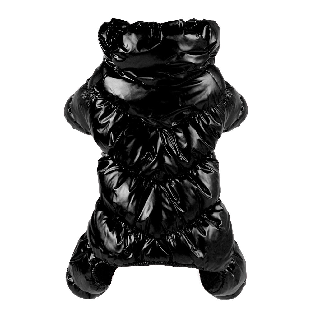 Warm & Waterproof Dog Jacket - Dogs and Horses