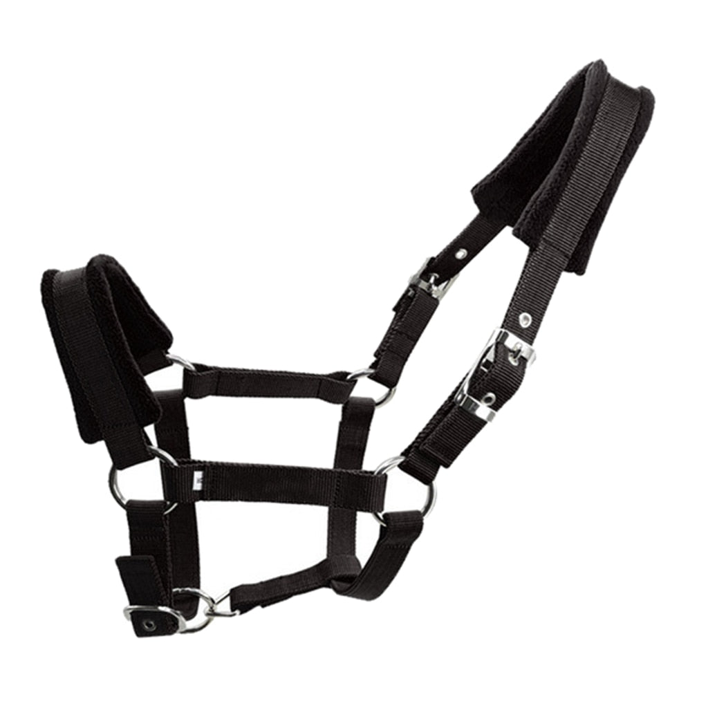 Black Padded Halter / Headcollar - Dogs and Horses