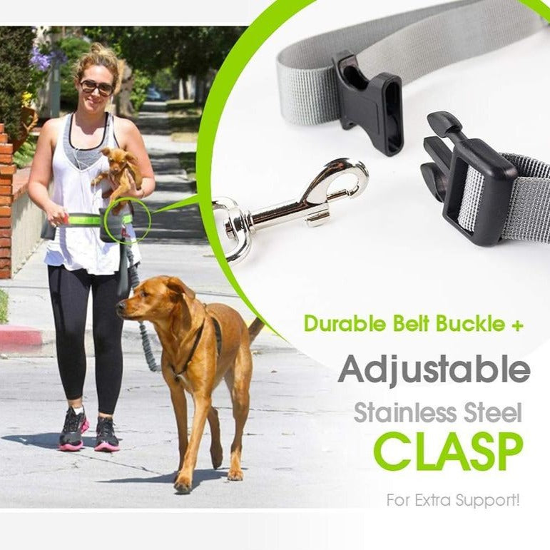 Gray Hands-Free Leash & Running Belt - Dogs and Horses