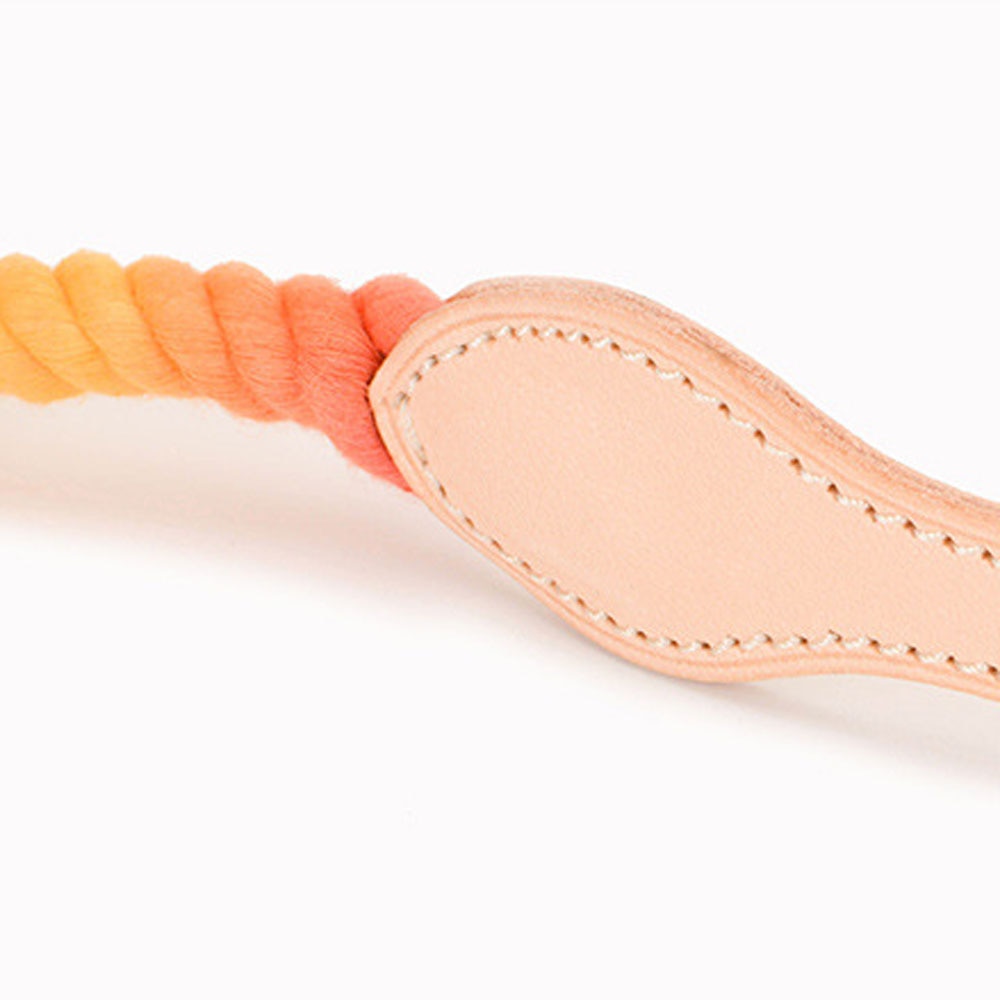 Venice Orange/Blue Collar - Dogs and Horses