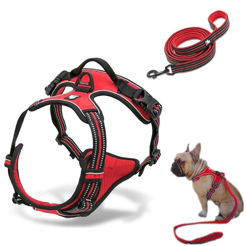Collodi Red Harness & Leash Set - Dogs and Horses