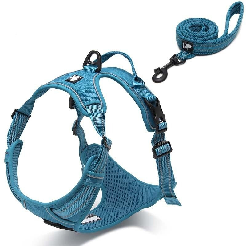 Collodi Blue Harness & Leash Set - Dogs and Horses