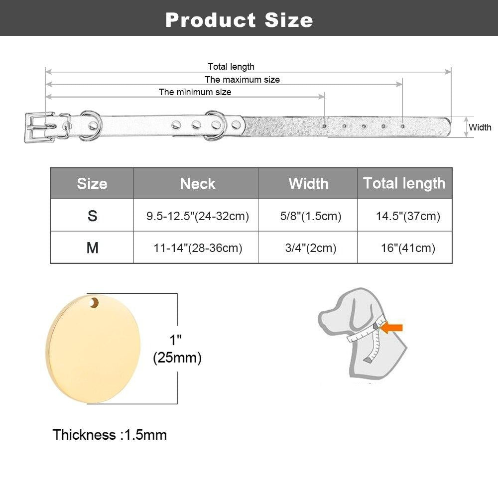 Siena Purple Collar & Custom Engraved Tag - Dogs and Horses