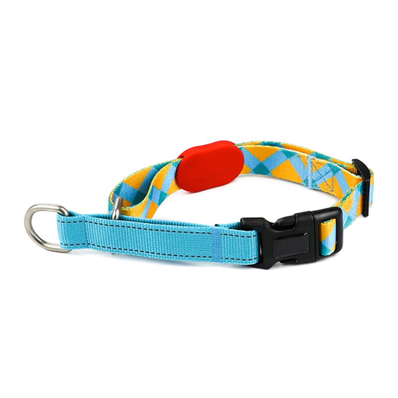 Capri Sunrise Collar - Dogs and Horses