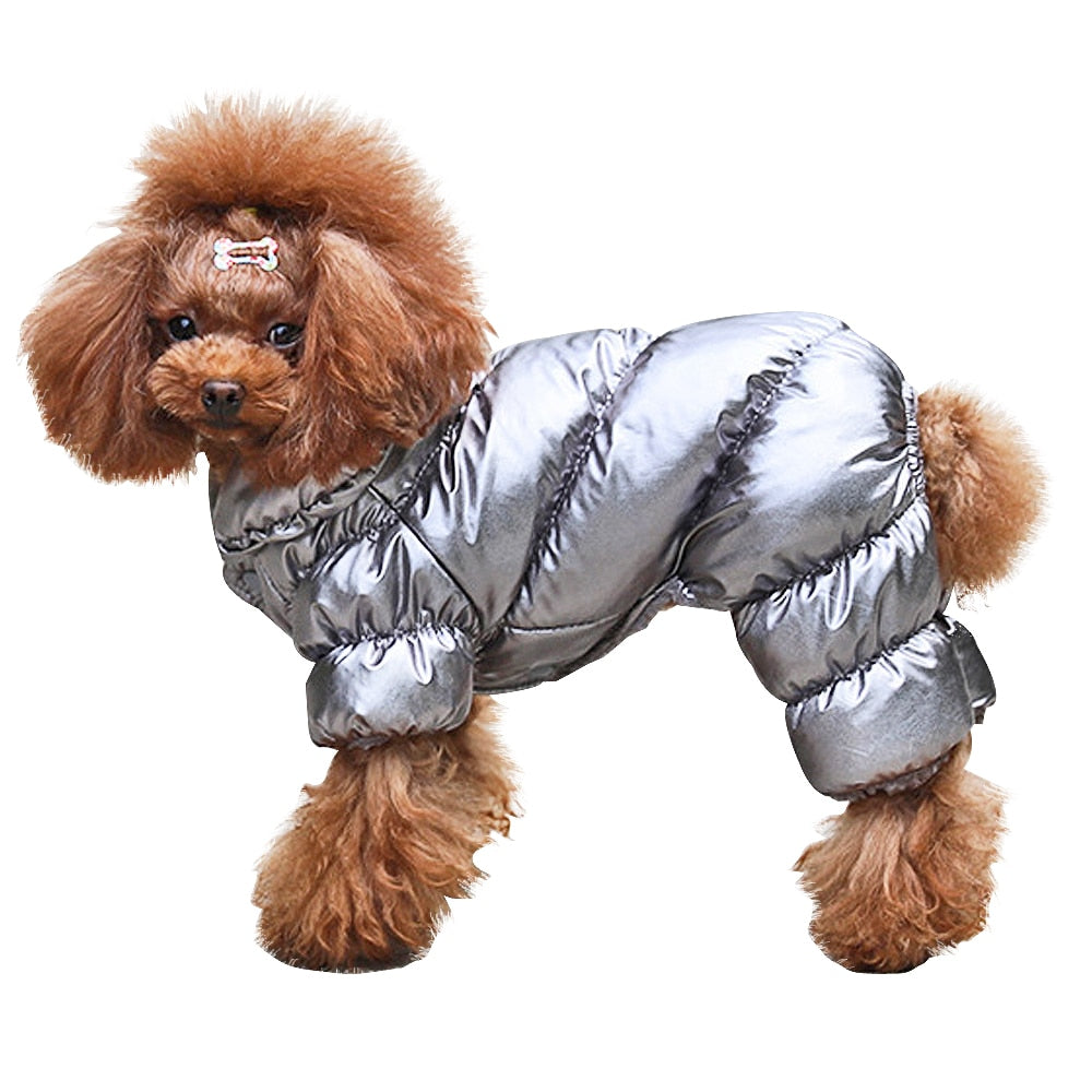 Warm & Waterproof Dog Jacket - Dogs and Horses
