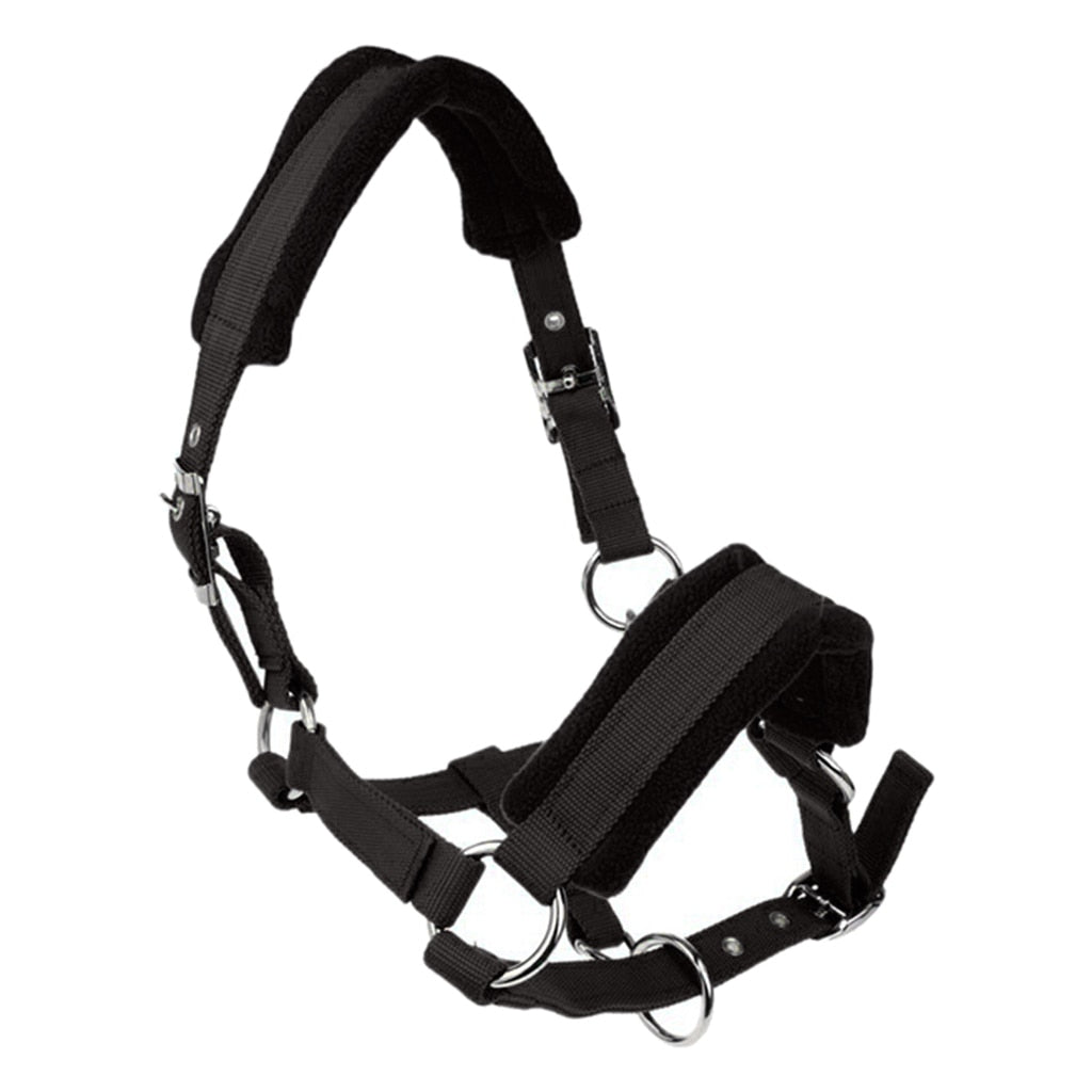 Black Padded Halter / Headcollar - Dogs and Horses