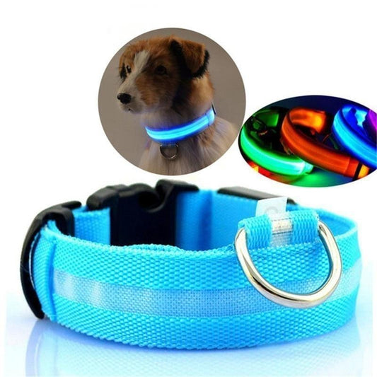 LED Light Up Collar (Battery) - Dogs and Horses