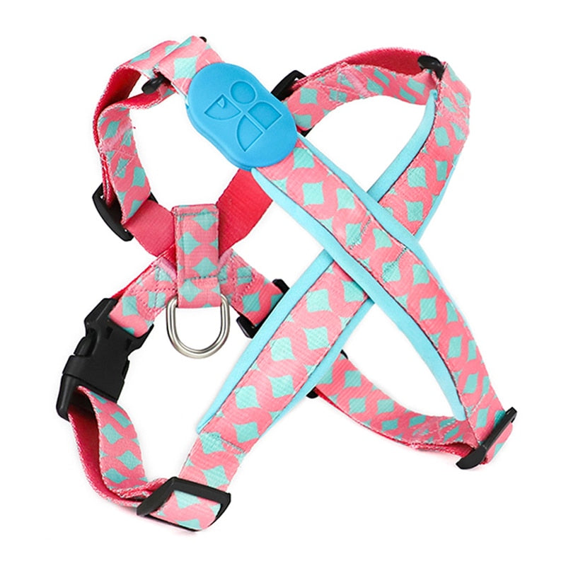 Capri Nana Harness - Dogs and Horses