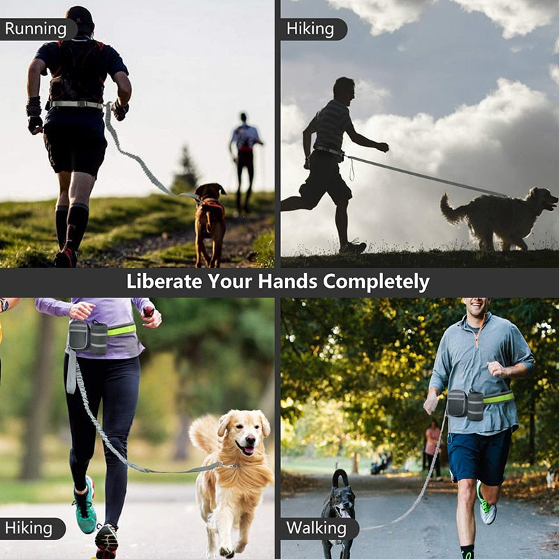Gray Hands-Free Leash & Running Belt - Dogs and Horses