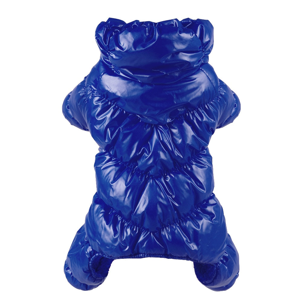 Warm & Waterproof Dog Jacket - Dogs and Horses