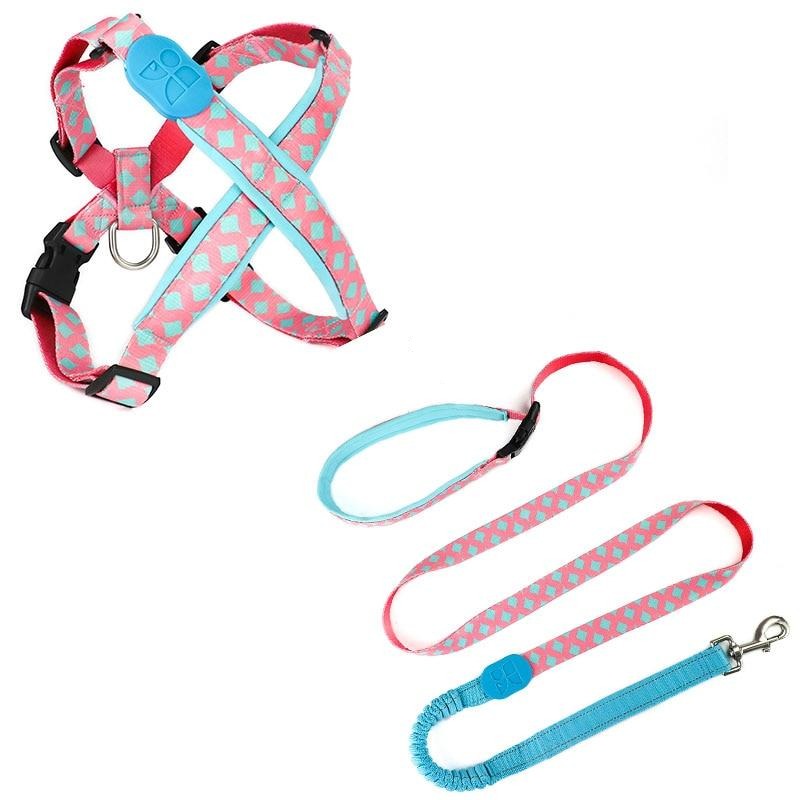 Capri Nana Harness & Leash Set - Dogs and Horses