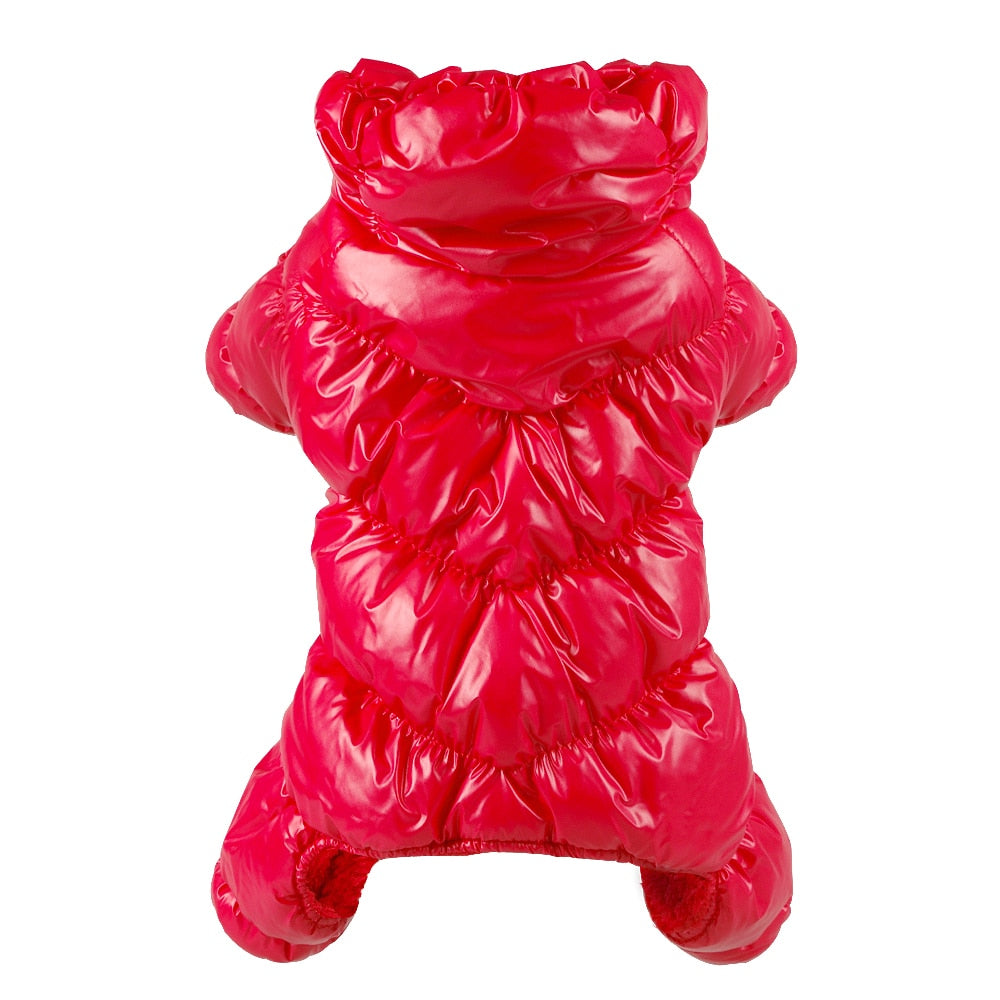 Warm & Waterproof Dog Jacket - Dogs and Horses